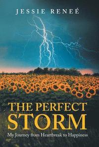 bokomslag The Perfect Storm