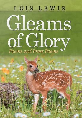 bokomslag Gleams of Glory