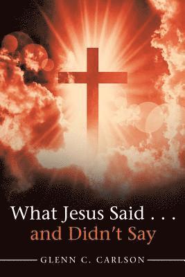 bokomslag What Jesus Said . . . and Didn't Say