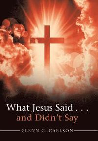 bokomslag What Jesus Said . . . and Didn't Say