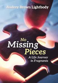 bokomslag No Missing Pieces