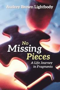 bokomslag No Missing Pieces