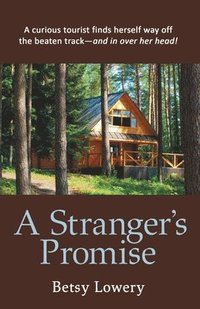 bokomslag A Stranger's Promise