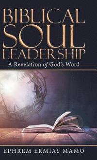 bokomslag Biblical Soul Leadership