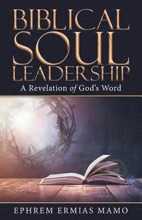 bokomslag Biblical Soul Leadership