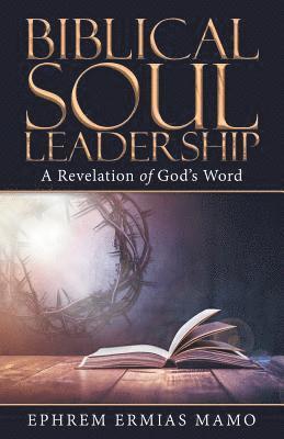 bokomslag Biblical Soul Leadership