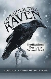 bokomslag Consider the Raven