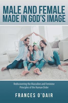 bokomslag Male and Female Made in God's Image