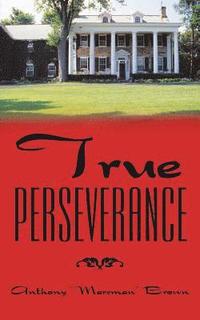 bokomslag True Perseverance