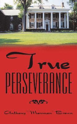 True Perseverance 1