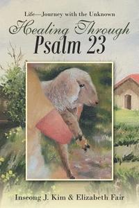 bokomslag Healing Through Psalm 23