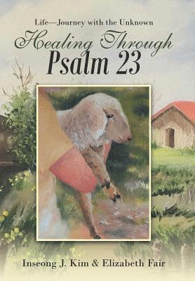 bokomslag Healing Through Psalm 23