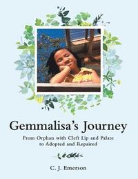 bokomslag Gemmalisa's Journey