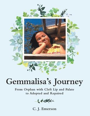 bokomslag Gemmalisa's Journey