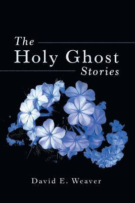 bokomslag Holy Ghost Stories