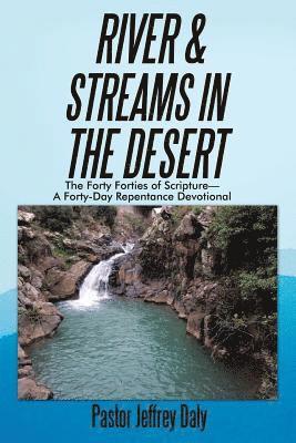 bokomslag River & Streams in the Desert