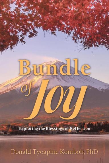 bokomslag Bundle of Joy