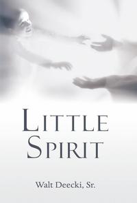 bokomslag Little Spirit