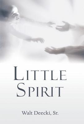 Little Spirit 1