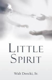 bokomslag Little Spirit