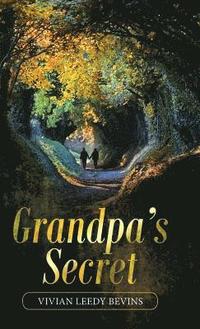 bokomslag Grandpa's Secret
