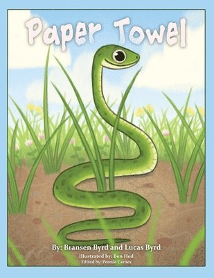 Paper Towel 1