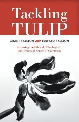 bokomslag Tackling Tulip