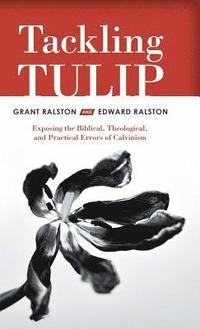 bokomslag Tackling Tulip