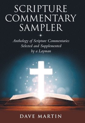 Dave Martin - Scripture Commentary Sampler, Inbunden