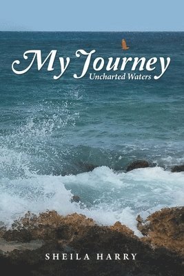 My Journey 1