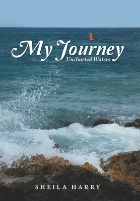 My Journey 1