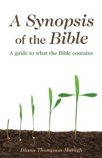 bokomslag A Synopsis of the Bible