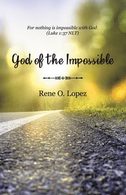 bokomslag God Of The Impossible