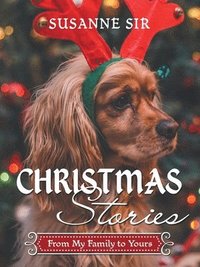 bokomslag Christmas Stories