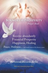 bokomslag Boundless Prosperity