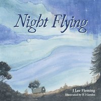 bokomslag Night Flying