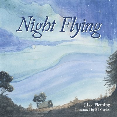 Night Flying 1