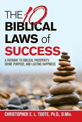 bokomslag THE 10 BIBLICAL LAWS of SUCCESS
