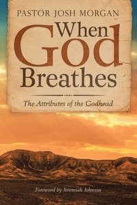 bokomslag When God Breathes