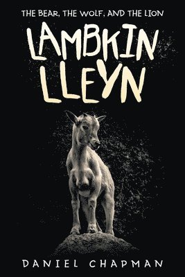 bokomslag Lambkin Lleyn