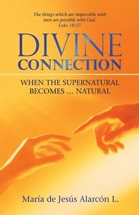 bokomslag Divine Connection