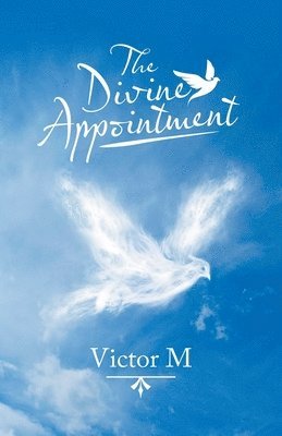 bokomslag Divine Appointment