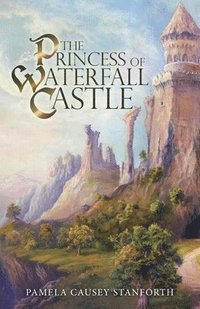 bokomslag Princess of Waterfall Castle