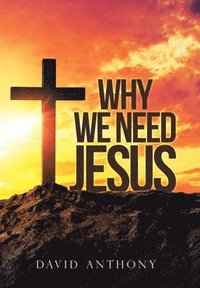 bokomslag Why We Need Jesus