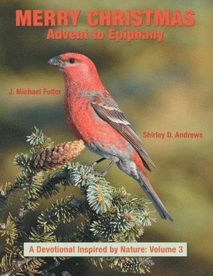 Merry Christmas Advent to Epiphany 1