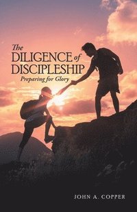 bokomslag The Diligence of Discipleship