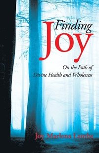 bokomslag Finding Joy