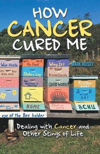 bokomslag How Cancer Cured Me: Dealing with Cancer and Other Stings of Life