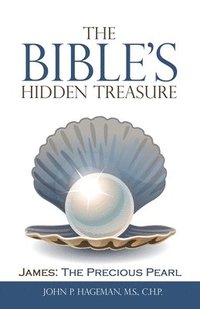 bokomslag The Bible's Hidden Treasure