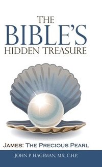 bokomslag The Bible's Hidden Treasure
